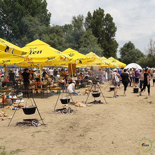 TA_FB_IN_8P_Picnic_230703_3